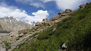 Gasherbrum-Trawers-2016-Gawrysiak-Trekking-51.jpg
