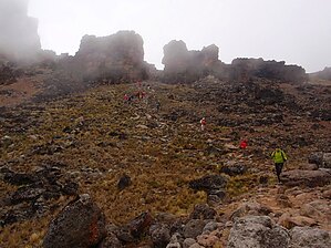 Sylwia-Bukowicka-Kilimandzaro-2010-019.JPG