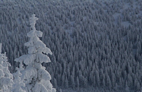 Masyw Śnieżnika ze Żmijowca (fot. Paulina Wierzbicka)